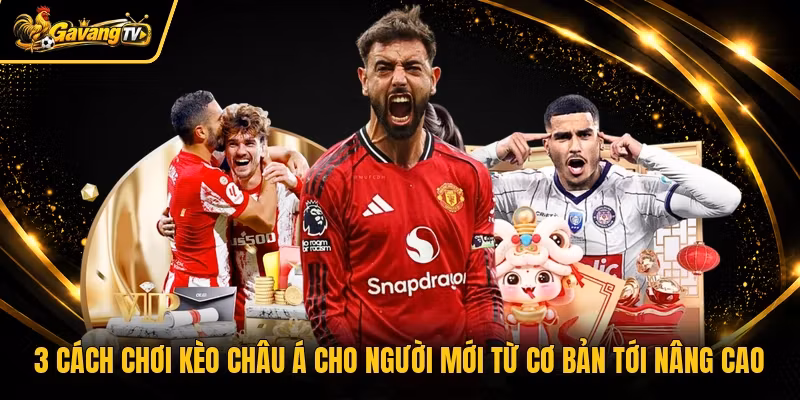 3 Cách Chơi Kèo Châu Á Cho Người Mới Từ Cơ Bản Tới Nâng Cao