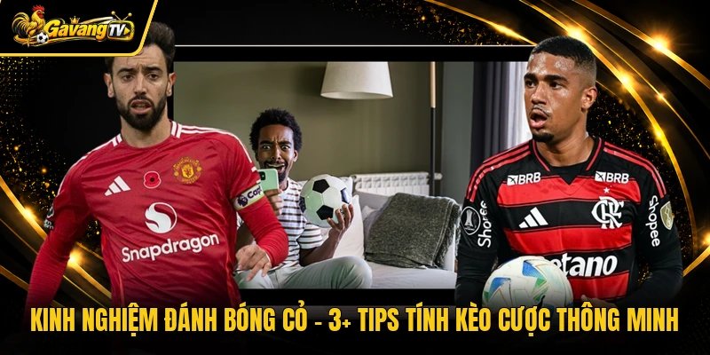 Kinh Nghiệm Đánh Bóng Cỏ – 3+ Tips Tính Kèo Cược Thông Minh